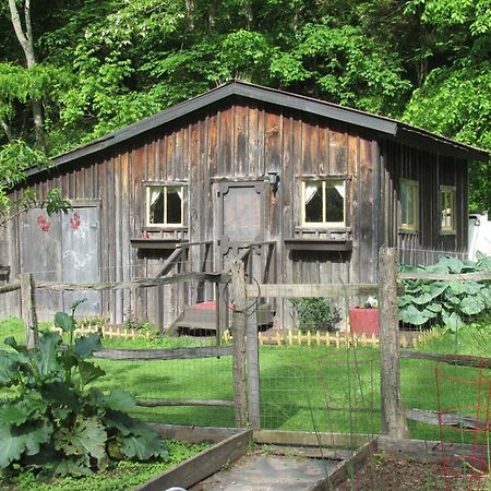 Willa The Renovated Barn At Seneca Rocks Zewnętrze zdjęcie