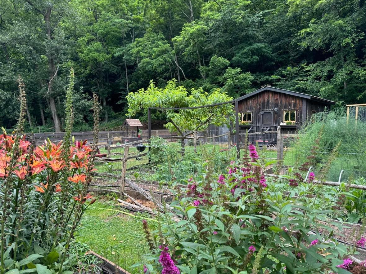 Willa The Renovated Barn At Seneca Rocks Zewnętrze zdjęcie
