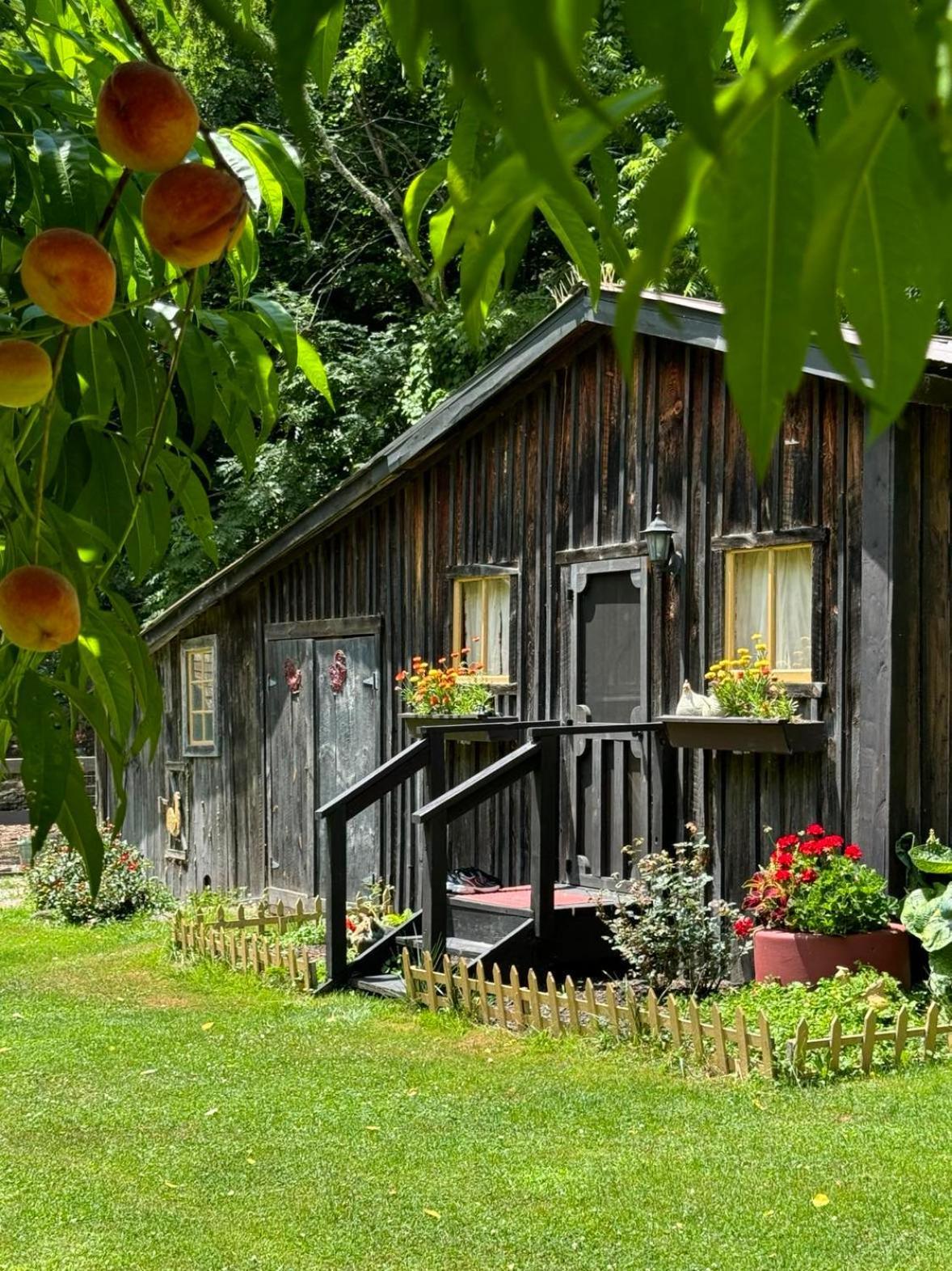 Willa The Renovated Barn At Seneca Rocks Zewnętrze zdjęcie