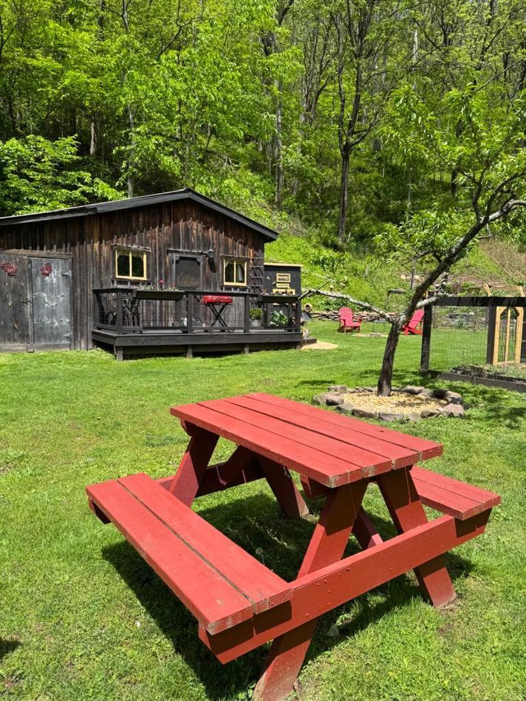 Willa The Renovated Barn At Seneca Rocks Zewnętrze zdjęcie