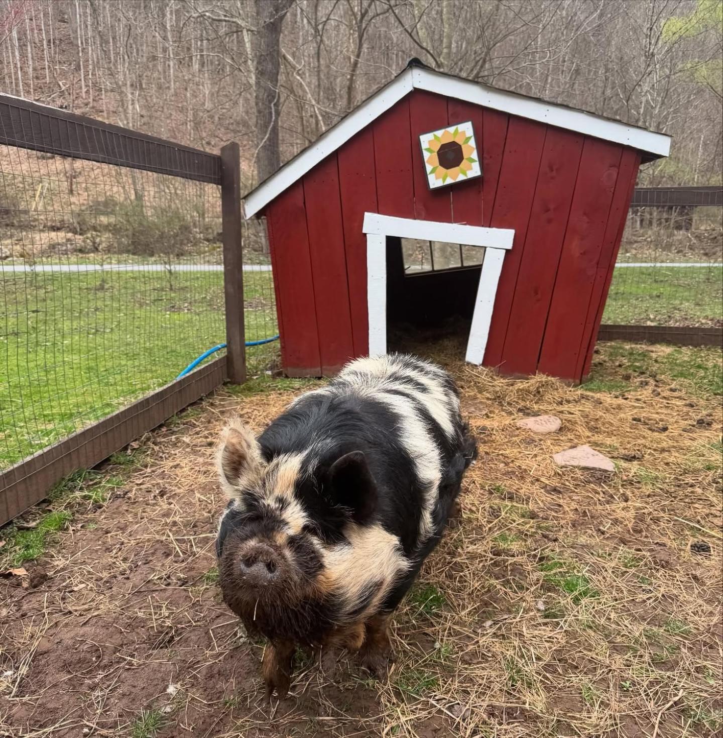 Willa The Renovated Barn At Seneca Rocks Zewnętrze zdjęcie